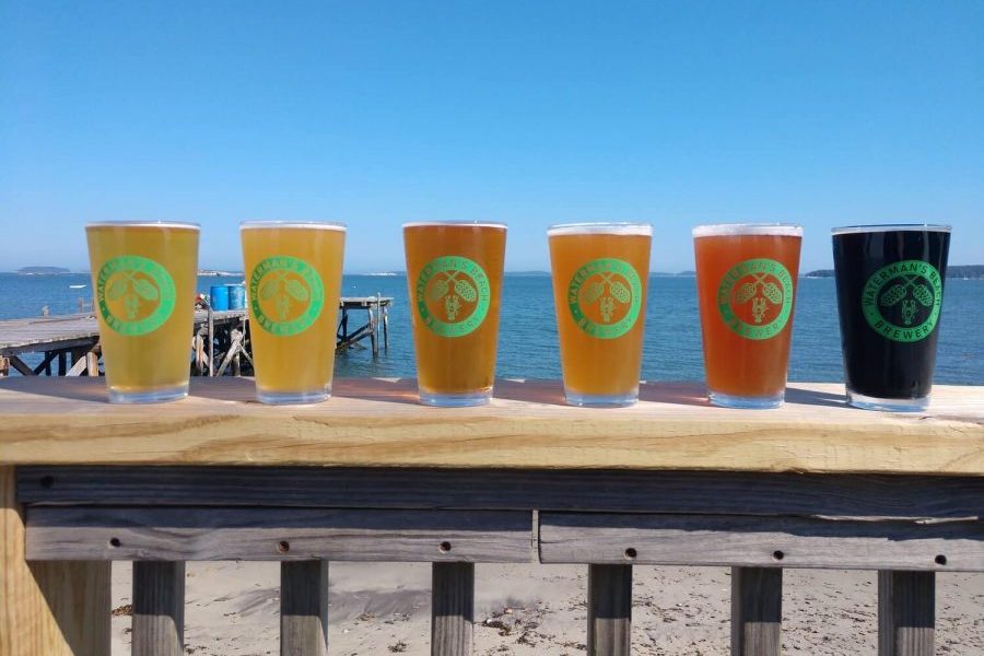 a line of poured draft beers by the beach at watermans brewery