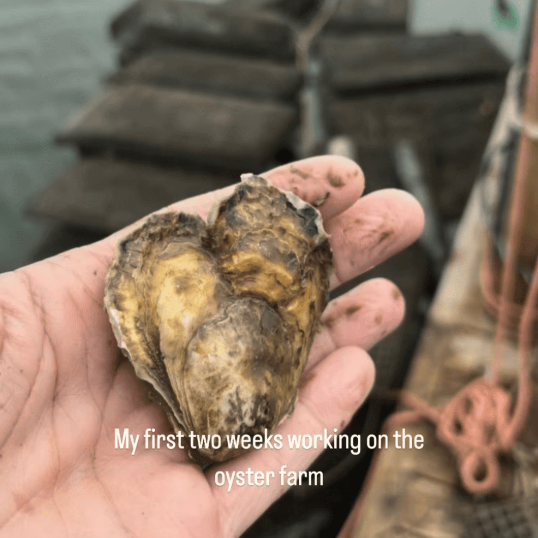 OysterHandCOMPRESSED